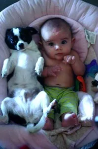 bebeperro