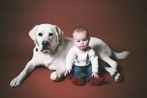 perroybebe