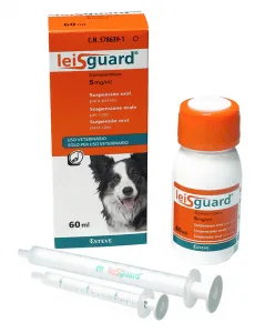 Leisguard